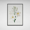 TRANH-HOA-LY-TRANG-FTSDecor