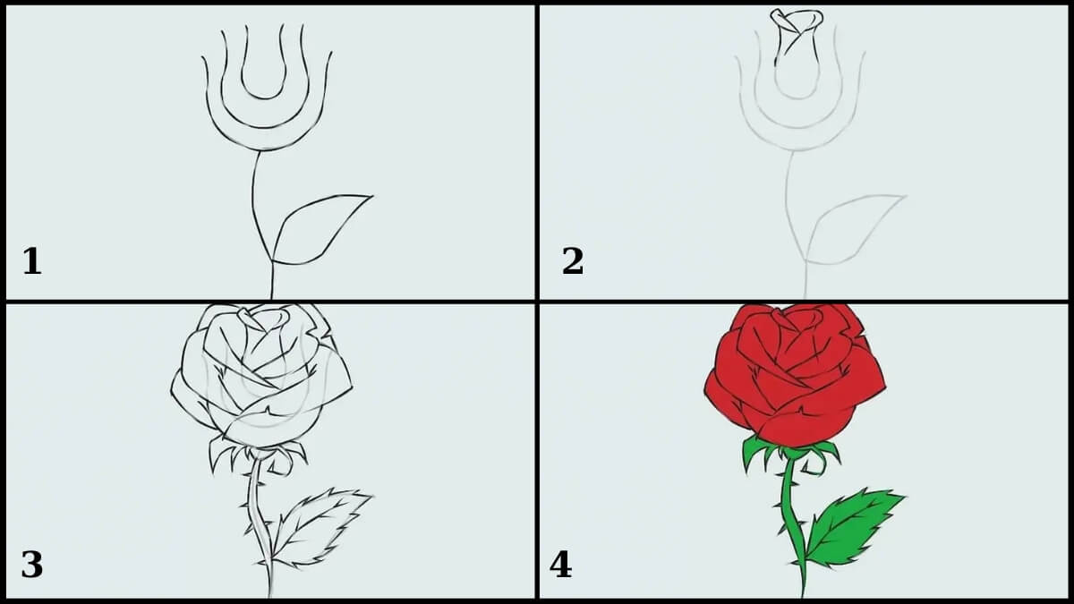 Cách Tô Màu Hoa Hồng Đẹp: Hướng Dẫn Chi Tiết Từng Bước 2025