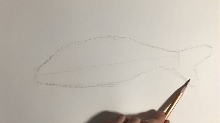 Cách Vẽ Con Cá Chép Từng Bước Dành Cho Người Mới Bắt Đầu 2025