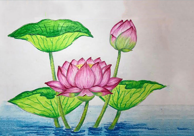 Tranh Vẽ Hồ Sen Đơn Giản: Hướng Dẫn Cho Người Mới Bắt Đầu