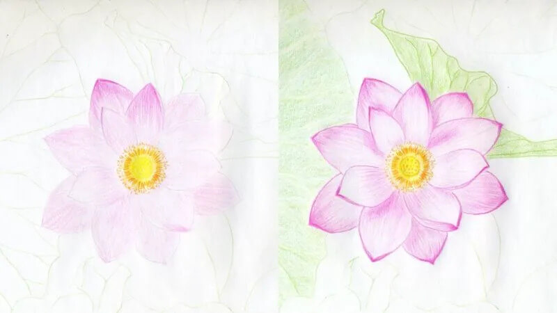 Tranh Vẽ Hồ Sen Đơn Giản: Hướng Dẫn Cho Người Mới Bắt Đầu