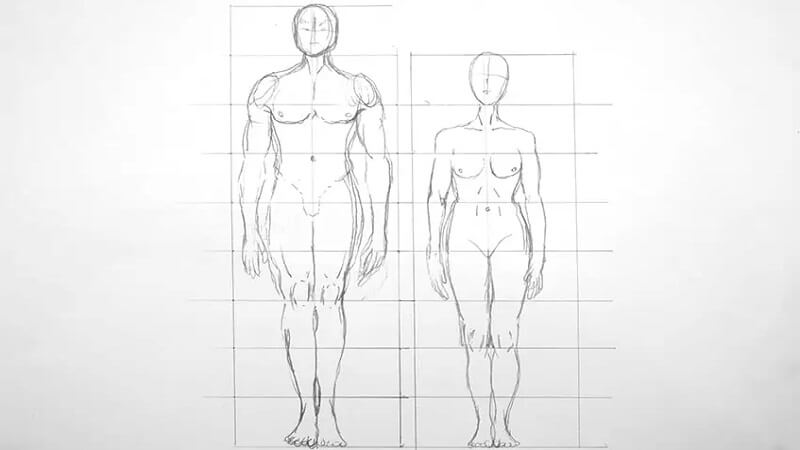 Hướng Dẫn Chi Tiết Cách Vẽ Người Thật Cho Người Mới Bắt Đầu 2025