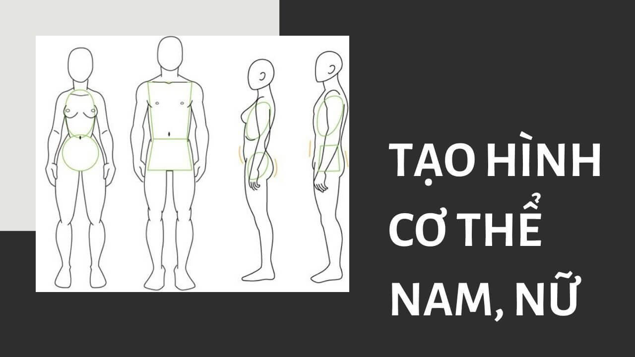 Hướng Dẫn Chi Tiết Cách Vẽ Người Thật Cho Người Mới Bắt Đầu 2025